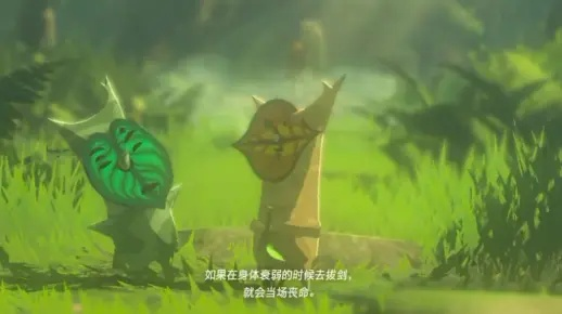 《塞尔达传说》呀哈哈攻略：解谜视频合集全收录