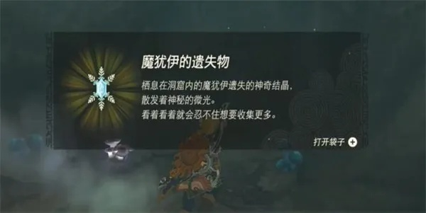 《塞尔达传说：泪之洞窟神庙白鸟指引攻略》