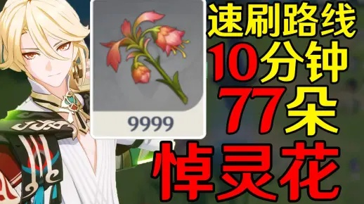 《原神》3.6悼灵花攻略:卡维突破必备材料寻获指南 《原神》3.6悼灵花攻略:卡维突破必备材料寻获指南