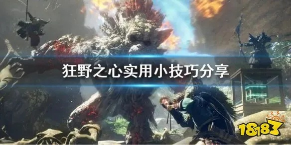 《狂野之心》BUG攻略：轻松复制素材，无限资源！