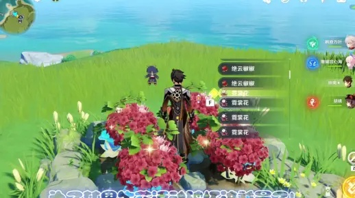 《原神》梦想花开时任务攻略：轻松触发秘境花海