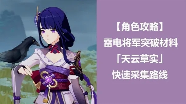 《原神》雷电将军突破必备：高效天云草实寻宝攻略