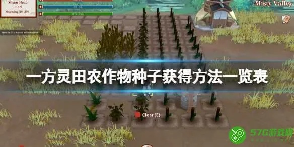《灵田新手攻略:轻松上手,掌握种植技巧》 《灵田新手攻略:轻松上手,掌握种植技巧》